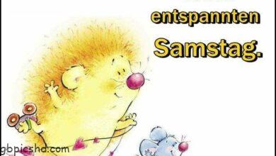 ᐅ samstag bilder fur whatsapp - Samstag GB Pics