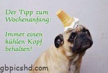 ᐅ schoenen montag bilder lustig - Wochentage Bilder GB Pics