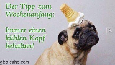 ᐅ schoenen montag bilder lustig - Montag GB Pics