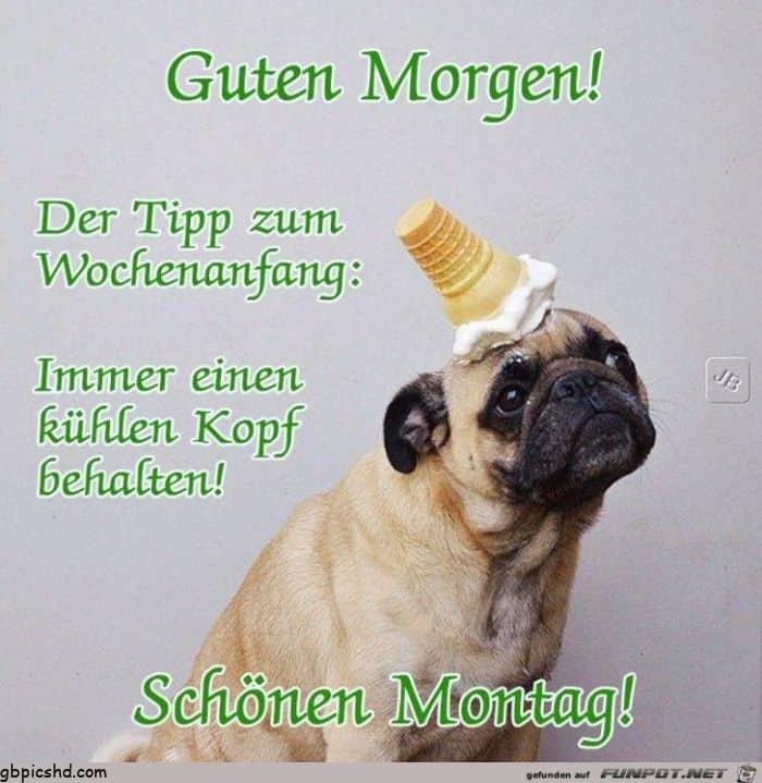 schoenen montag bilder lustig