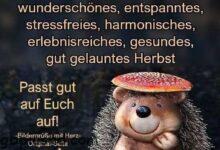 ᐅ schoenen samstag bilder fuer whatsapp - Gute Nacht GB Pics