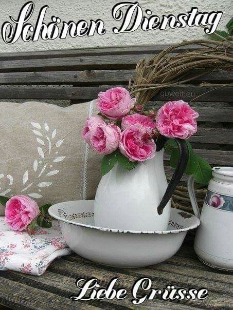 Schon dienstag nachmittag bilder 001