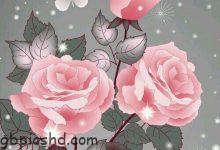 ᐅ schon gebraucht 2 - Geburtstag GB Pics