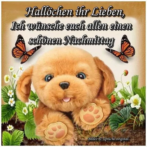 Kuscheliger Hund mit Schmetterlingen in einer blühenden Gartenlandschaft.