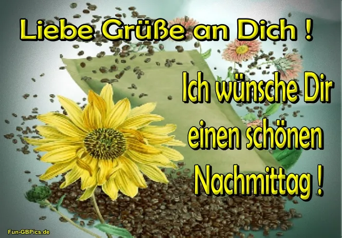 Ein Bild mit Sonnenblumen und einer Tüte Kaffee. Text: "Liebe Grüße an Dich!"