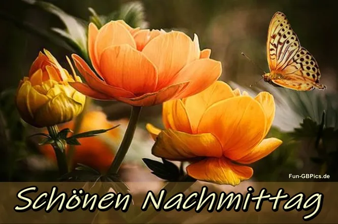 Zwei orangefarbene Blumen mit einem Schmetterling auf einem sanften Hintergrund.