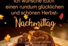ᐅ Schöne Bilder Schönen Nachmittag - Guten Morgen GB Pics