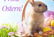 ᐅ schöne ostern bilder - Wochentage Bilder GB Pics