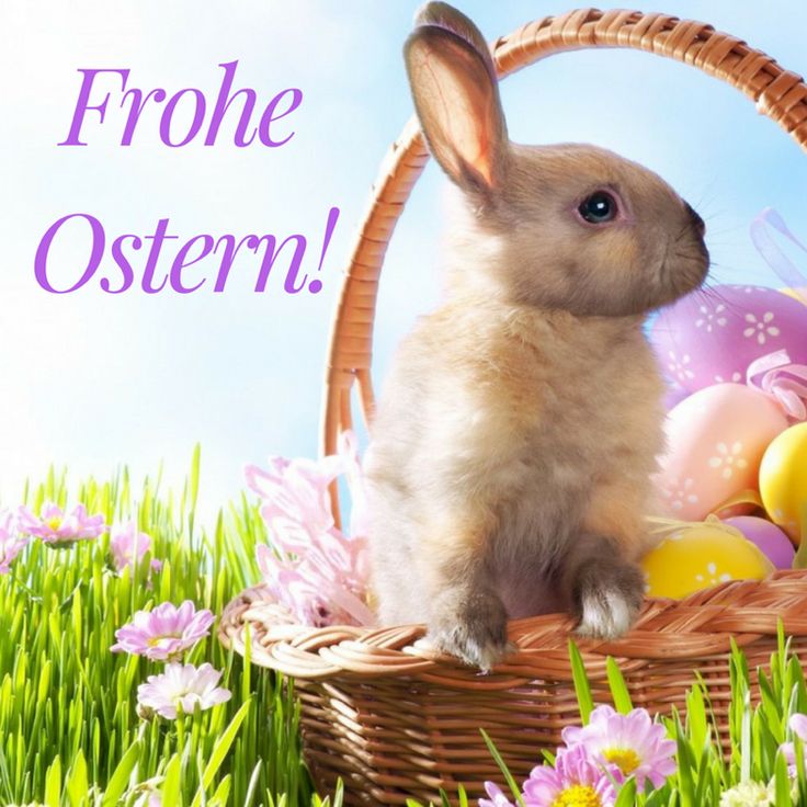 schöne ostern bilder