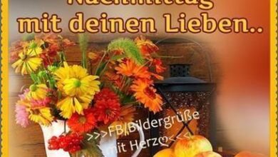 ᐅ Schöne Sonntag Nachmittag Bilder - Nachmittag GB Pics