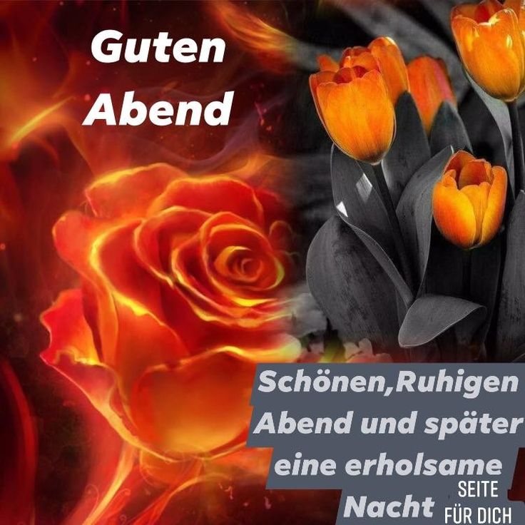 Schonen abend bilder 002