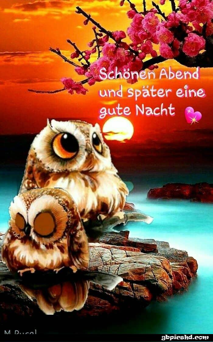 Schonen abend noch und spater eine gute gutenacht gutenabend schonenabend 010