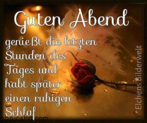 schönen abend und eine gute nacht