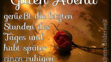 ᐅ schönen abend und eine gute nacht - Schönen Tag GB Pics