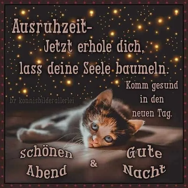 Schönen Abend Himmel Katze liegt entspannt auf einem Kissen, umgeben von einem Sternenhimmel. Text zur Entspannung.