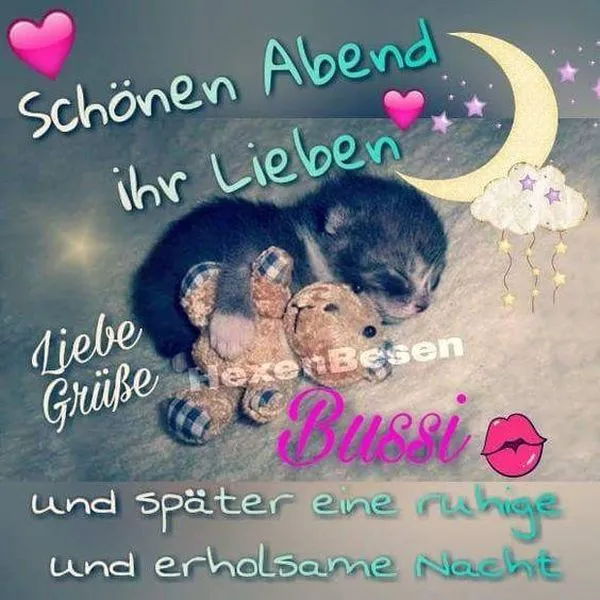 Abend Hoffnung Freude Katzenbaby schläft friedlich neben einem kleinen Teddybären. Texte und Dekorationen im Hintergrund.