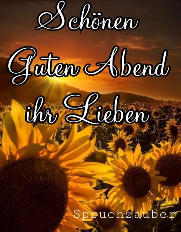 Hund Gute Nacht Sonnenblumenfeld bei Sonnenuntergang mit dem Text "Schönen Guten Abend".