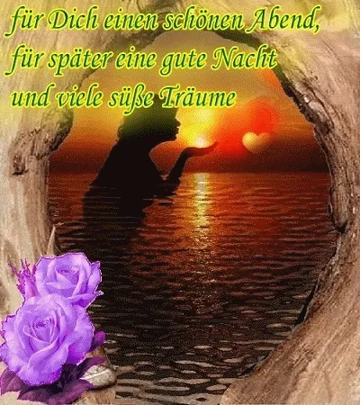 Animiertes Gute Nacht Bild Silhouette einer Frau vor einem Sonnenuntergang über dem Wasser, mit rosa Rosen.