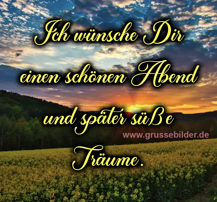Bär Schlafabend Sonnenuntergang über Feldern mit dem Text: "Ich wünsche Dir einen schönen Abend..."