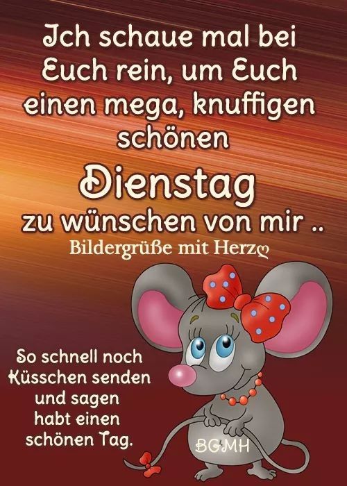 schönen dienstag bilder