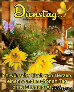 Schönen Dienstag Bilder und GIFs
