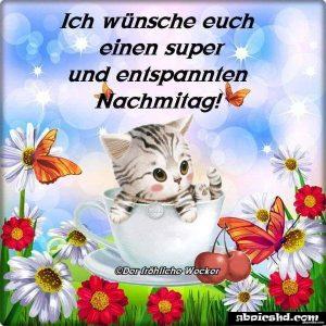 Schönen Dienstag Nachmittag Bilder