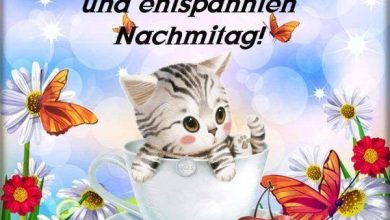 ᐅ Schönen Dienstag Nachmittag Bilder - Feste / Anlässe GB Pics