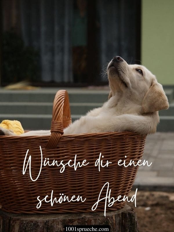 Schonen freitag abend bilder 008