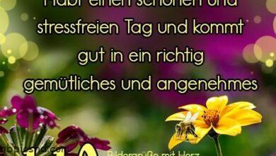 ᐅ schönen freitag bilder kostenlos - Freitag GB Pics