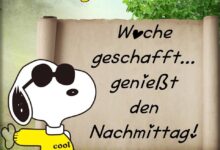 ᐅ Schönen Freitag Nachmittag Bilder - Gute Nacht GB Pics