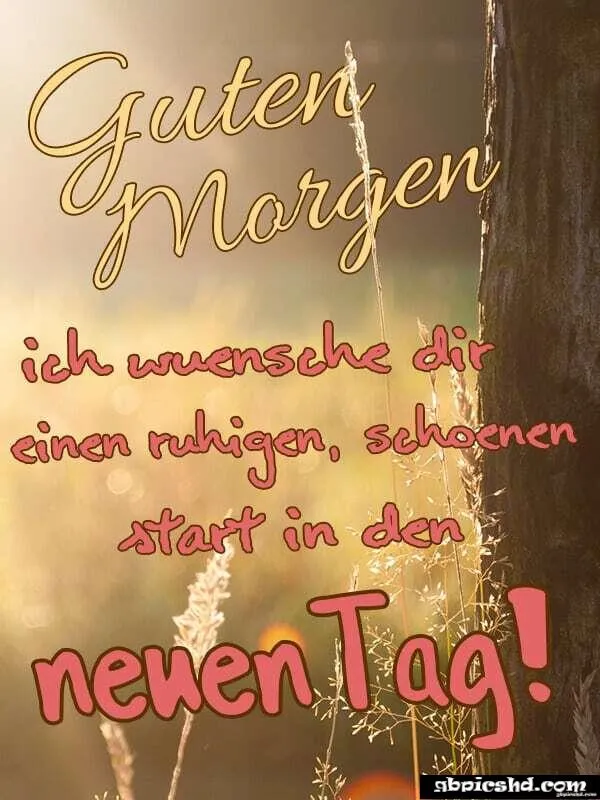 Text auf einem Sonnenlicht-Hintergrund: "Guten Morgen" und Wunsch für einen schönen Tag.