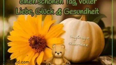 ᐅ schönen mittwoch - Mittwoch GB Pics