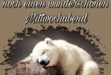 ᐅ schönen mittwoch abend bilder - GB Pics