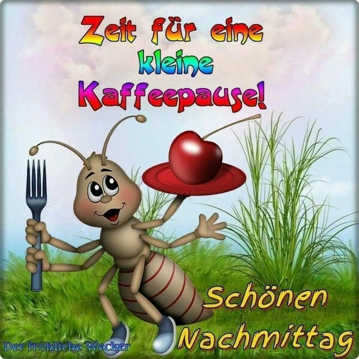 schönen nachmittag