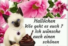 ᐅ schönen nachmittag bilder kostenlos - GB Pics