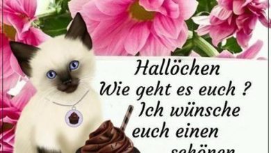 ᐅ schönen nachmittag bilder kostenlos - Schönen Abend GB Pics