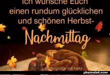 ᐅ schonen nachmittag bilder nachmittagbilder schonennachmittagbilder schone - Guten Morgen GB Pics