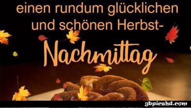 ᐅ schonen nachmittag bilder nachmittagbilder schonennachmittagbilder schone - Nachmittag GB Pics