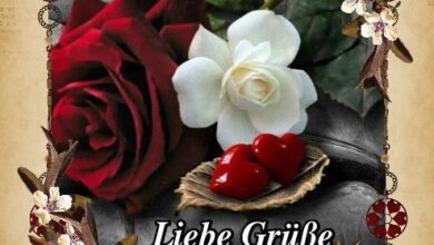 ᐅ Schönen Nachmittag Bilder Whatsapp - Nachmittag GB Pics