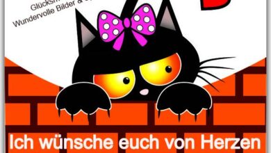 ᐅ Schönen Nachmittag Noch Bilder - Nachmittag GB Pics