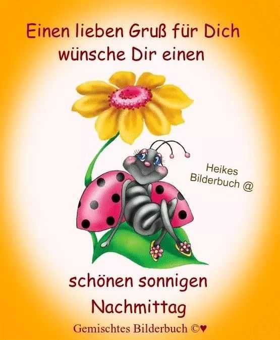 ᐅ Schönen Sonnigen Nachmittag Bilder - Nachmittag GB Pics Schonen sonnigen nachmittag bilder 001