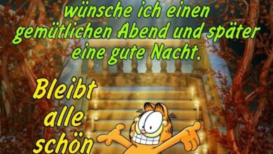ᐅ schönen sonntag abend bilder lustig - Schönen Abend GB Pics