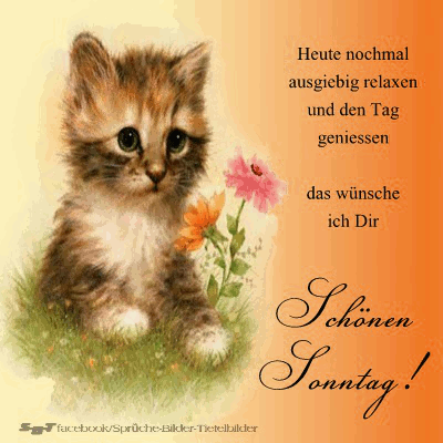 ᐅ schonen sonntag bilder animiert 7 - Sonntag GB Pics Schonen sonntag bilder animiert 7 001