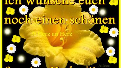 ᐅ Schönen Sonntag Nachmittag Lustige Bilder - Feste / Anlässe GB Pics