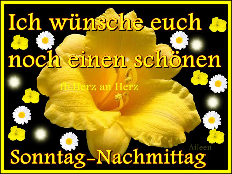 ᐅ Schönen Sonntag Nachmittag Lustige Bilder - Feste / Anlässe GB Pics