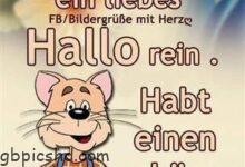 ᐅ schönen tag bilder lustig kostenlos - Liebe Gruse GB Pics