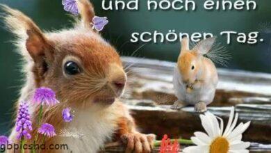 ᐅ schönen tag lustig - Schönen Tag GB Pics