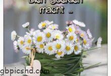 ᐅ schöner tag bilder - Wochenende Bilder GB Pics