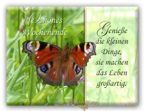 Schönes Wochenende Bilder mit liebevollen Grüßen und tierischen Motiven