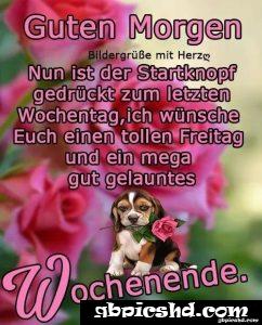 schönes wochenende guten morgen bilder freitag